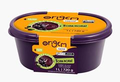 ACAI ORIGEM TODA HORA POLPA NORTE POTE 720G CX 6UN