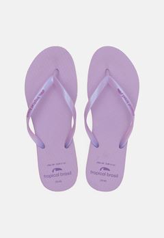 CHINELO TB FEM LISO LILAS PEROL  33/34 CX 12UN