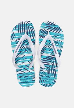 CHINELO TB MASC ESTAMP FOLHA 39/40 CX 12UN