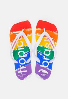 CHINELO TB MASC ESTAMP COLORIDO 43/44 CX 12UN