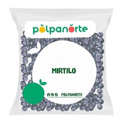 FRUTA CONGELADA MIRTILO GRANEL 1,02 KG CX 12UN