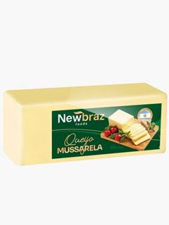 QUEIJO MUSSARELA NEWBRAZ (ARG) 5KG CX 20KG